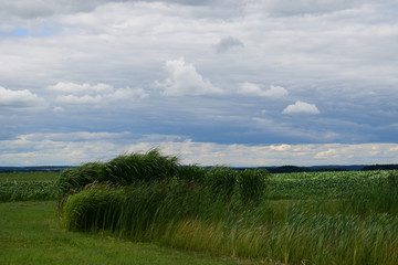 Landschaft , Felder und Wiesen, Himmel und Wolken - Ballenmoos Bad Waldsee