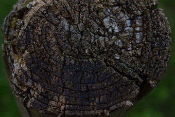 Natur Pur - Holz Pfosten verwittert, Hintergrund Design 