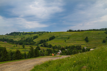 Beautiful summer landscape