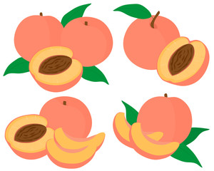 Set of fruit peaches vector illustration slices and slices