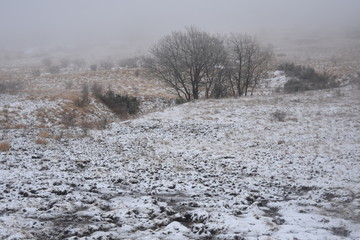 trekkking and outdoor , italian hills