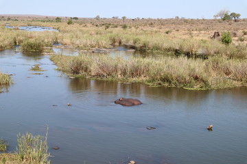 river in south africa