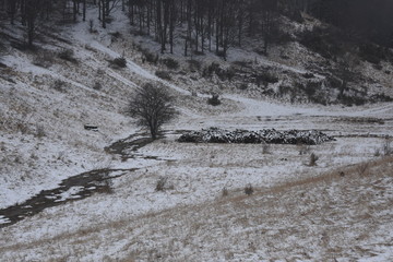 trekkking and outdoor , italian hills