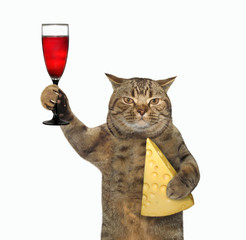 The beige cat is holding a glass of red wine and a piece of cheese with holes. White background....