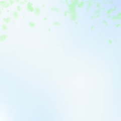 Green flower petals falling down. Cute romantic fl