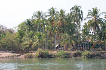Obraz premium island on the mekong river in laos