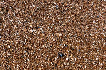 A beach of small pebbles and fragments of shells