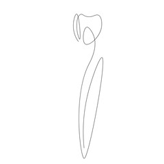 Spring flowers isolated on white background. Continuous line drawing. Vector illustration