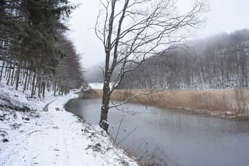 trekkking and outdoor , italian hills