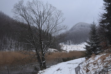 trekkking and outdoor , italian hills