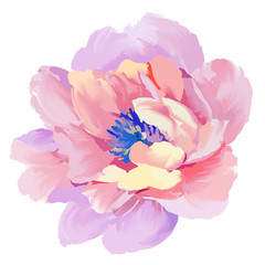 aroma, feminine, colored, garland, retro, artwork, print, fashion, elegant, holiday, drawing, art, colorful, decorative, wallpaper, abstract, design, background, floral, rose, illustration, purple, fl