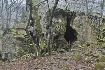 trekkking and outdoor , italian hills