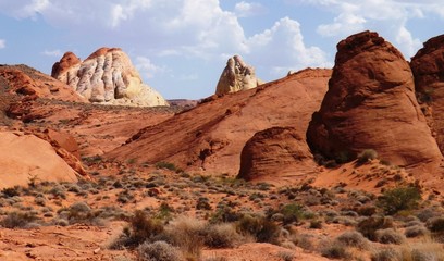 Red rocks National Park