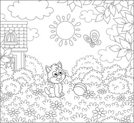 Little kitten playing with a flittering butterfly on a pretty lawn by a small village house on a sunny summer day, black and white vector cartoon illustration for a coloring book page