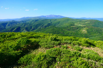 Fototapeta na wymiar 初夏の寺沢高原より早池峰山を望む。遠野、岩手、日本。5月下旬。