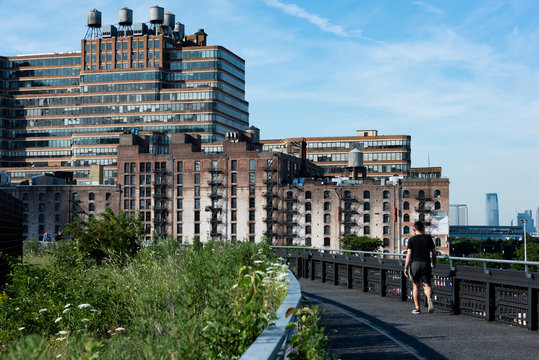 Highline New York