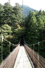 Okutama Mukashi Michi Hike - Japan