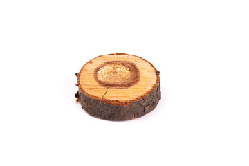 Cross section of tree trunk on white background