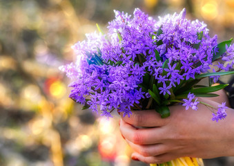 Colorful spring bouquet of flowers in hands over blurred background 