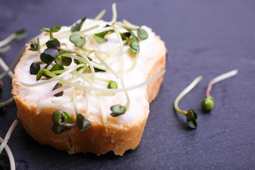 Toasts with cream and radish microgreen