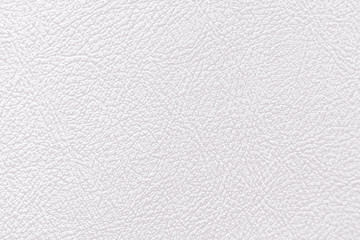 White leather texture background. Skin pattern for manufacturing of luxury shoes, clothes, bags and fashion.