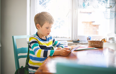 Young Boy Looking at Digital Tablet	