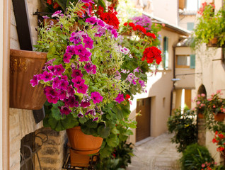 Fototapeta na wymiar Frower pots on the wall in medieval street of old town in Spello, Italy