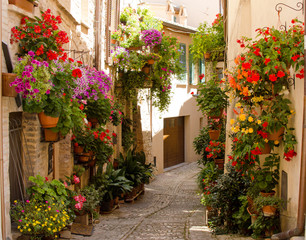 Medieval street of Spello decorated with flowers, Umbria, Italy