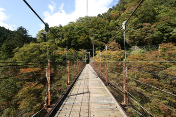 Fototapeta premium Okutama Mukashi Michi Hike - Japan