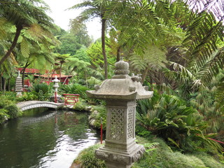 Botanischer Stock Photos And Royalty Free Images Vectors And Illustrations Adobe Stock