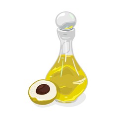 Half of ripe longan fruit with seed is near transparent glass bottle closed by round cap containing oil. Natural remedy with antioxidant and anti-inflammatory properties. Vector isolated on white.