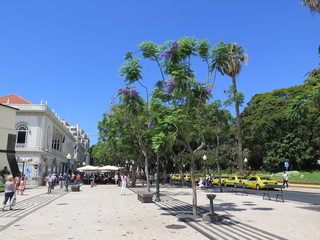 Madeira