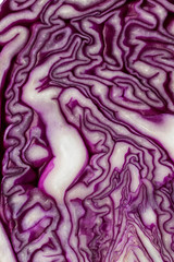 Red cabbage slice close up.