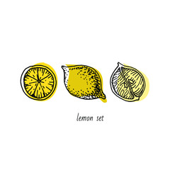 Vector lemons for graphic design. Use for logo. Freehand drawing. Isolated over white background-02