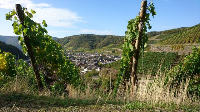 Dernau von oben