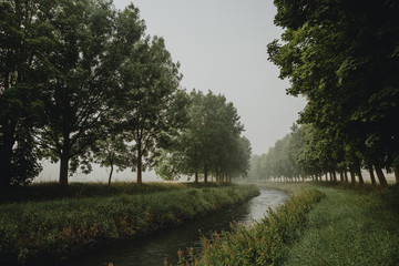 The bend of the river flowing between rows of green deciduous trees during the misty summer morning with light of the sunrise