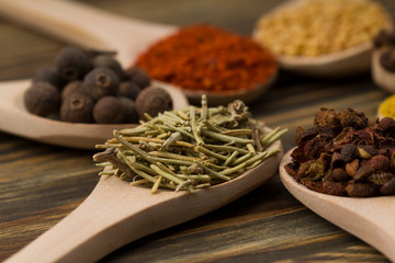 Various spices spoons. close up