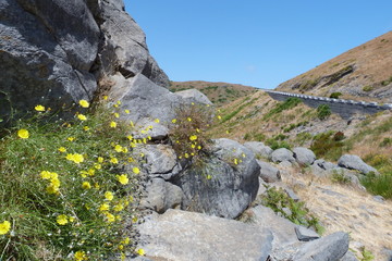 Berglandschaft Madeira