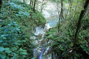 Of The North Caucasus