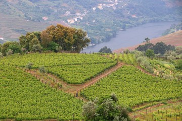 Portugal Douro River valley