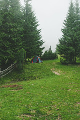 Photo from a campaign in the Carpathians during heavy fog.  Hills covered with pine trees and green grass.