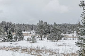 Photo shot of a car window. Winter landscape   Finland. 03.2020