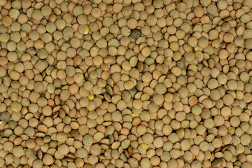texture of green lentils on a white background. place for text. bean grains