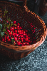 Dark red rose hip on basket