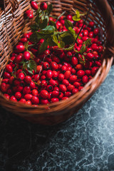 Dark red rose hip on basket