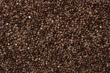 buckwheat texture. place for text. raw cereal grains