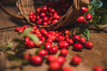 Dark red rose hip on basket