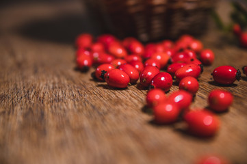 Dark red rose hip on basket