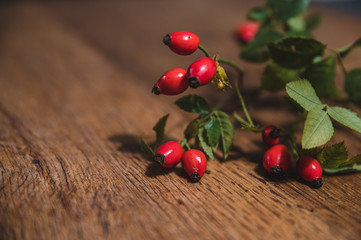 Dark red rose hip on basket