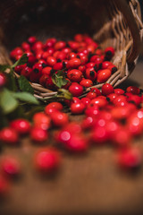 Dark red rose hip on basket